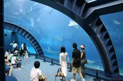 Okinawa Churaumi Aquarium: Второй по величине аквариум