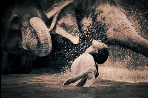   Gregory Colbert "Ashes and Snow" (45 )