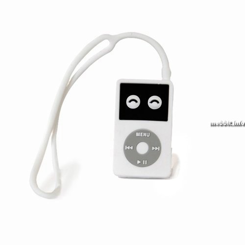 USB-   iPod