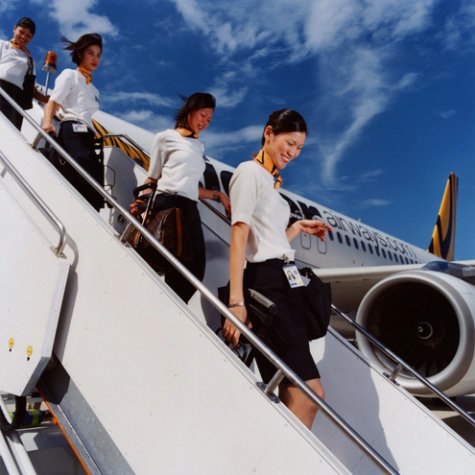 Flight Attendants -    