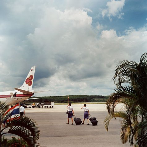 Flight Attendants -    