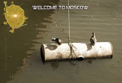 Welcom to Moscow