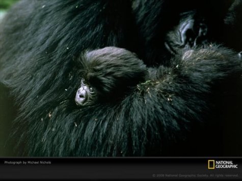  National Geographic