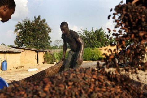 Кот-д’Ивуар - крупнейший производитель и экспортер бобов какао