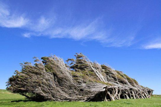 Наклонный мыс в Новой Зеландии (фото)